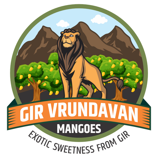 Gir Vrundavan Mangoes