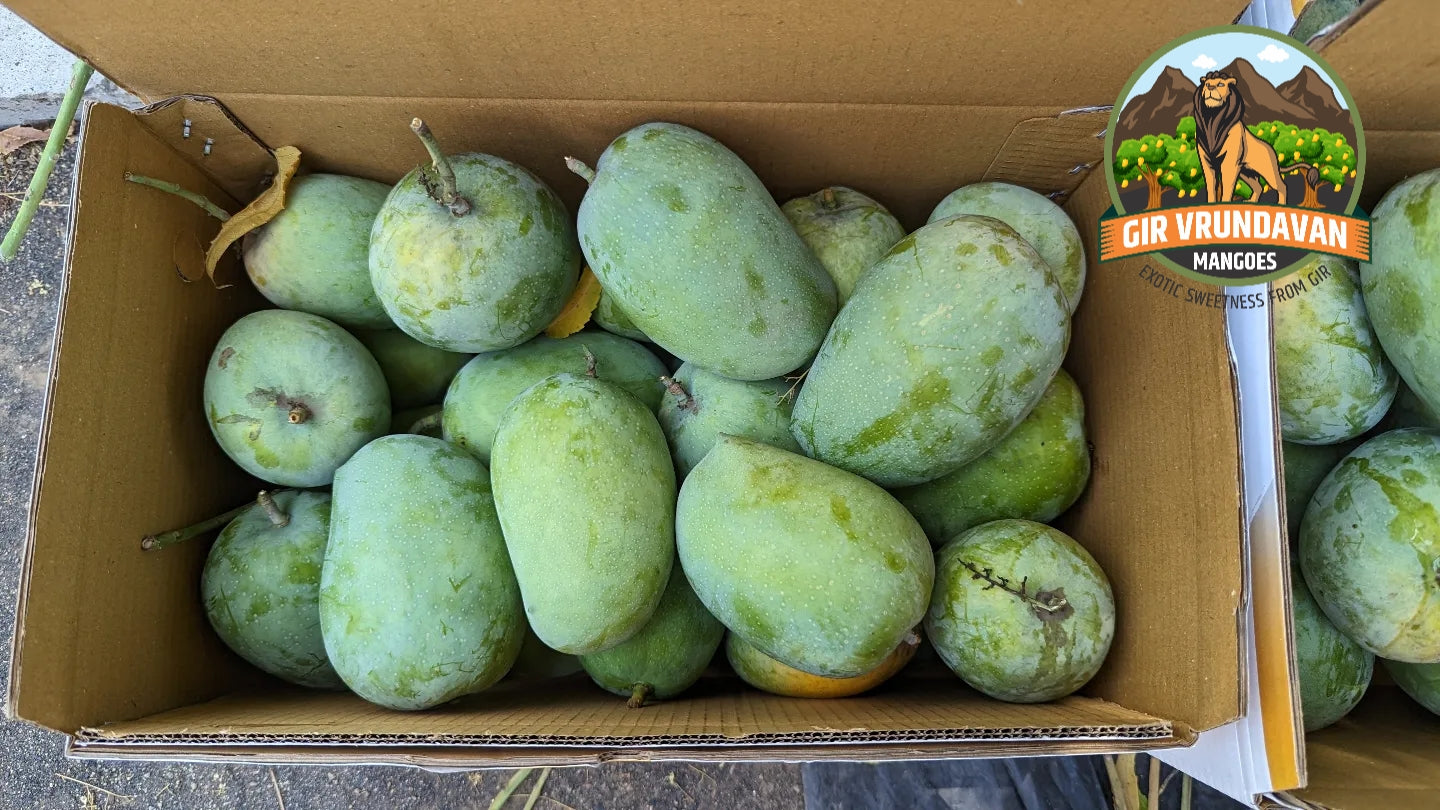 Box of Mangoes Export Quality (3 Kg)