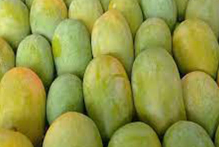 What does 100% Carbide-free mangoes mean?